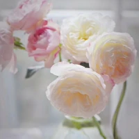 。12554
