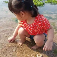 海边捡贝壳的小姑娘