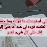 نبيل الحمري