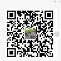 一盏魂灯渡佳人