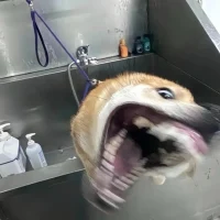 卿目春秋 -