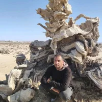 أحمد ب محمد