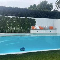 外汇行业的纪检委