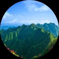 进哥哥