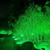 永恒号