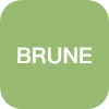 Bruneau