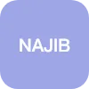 NAJIBA BHATTI