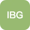 IBG LLC