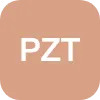 P.Z.T. SERVICES LTD