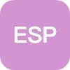 ESP AUDIT DIRECTIONS LTD