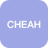 Cheah Cheng  Hye C.F.A.