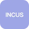 INCUSTODY SECRETARIAL SERVICES LTD