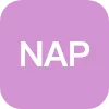 NAP DIRECTORS LTD