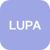 LUPA ENTERPRISES INC