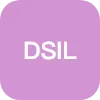 DSIL INVESTMENT SERVICES LLC