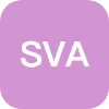 SVA TRUSTEE SERVICES LTD