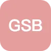 GSB HOLDINGS LIMITED