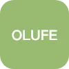 OLUFEMI SEYE OLUWAGBOHUNMI