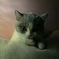 春风十里不如你