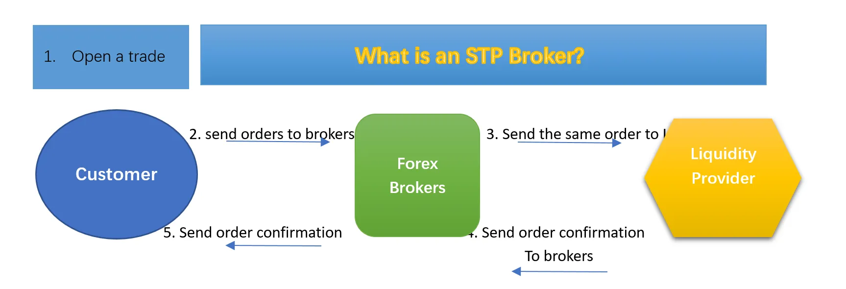 7 Best STP Forex Broker for 2025 -WikiFX