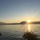 王向辉