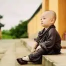 进发酒店食材-何代法