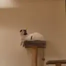 德意忘形◡ູ̈