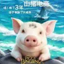 山猪（贵弟²º¹9）