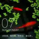 曾经沧海难为水65483