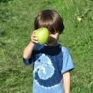 止损～保本～持赢