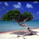 一切皆有可能63971