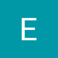 Edelite Alves Ferreira Neto