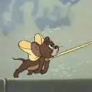 会飞的猪（时间10点～17点）