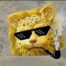 诚信赢天下36423