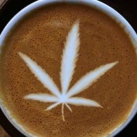 avatarAddress