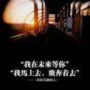 罗先生44535