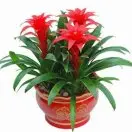 不以物喜！不以己悲！天道酬勤！