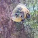 神马都是浮云20419