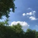 曾满仓