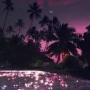 春风十里不如你54981