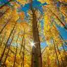 A电线电缆，桥架，线管