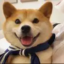 A凉夏-资深ＨＲ【寒暑假工招聘】