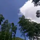 陆昇-专业祛斑祛痘祛痣