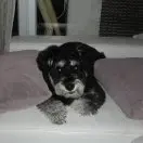 Ivan Hui，天賜的力量