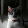 是葦哦