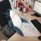 C