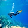 潜水爱好者 - 浪哥