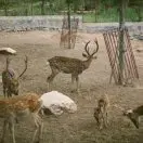 景点+美食=你最好的选择