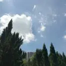 孤熬拼搏的雪狼