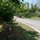 心若在梦就在10939